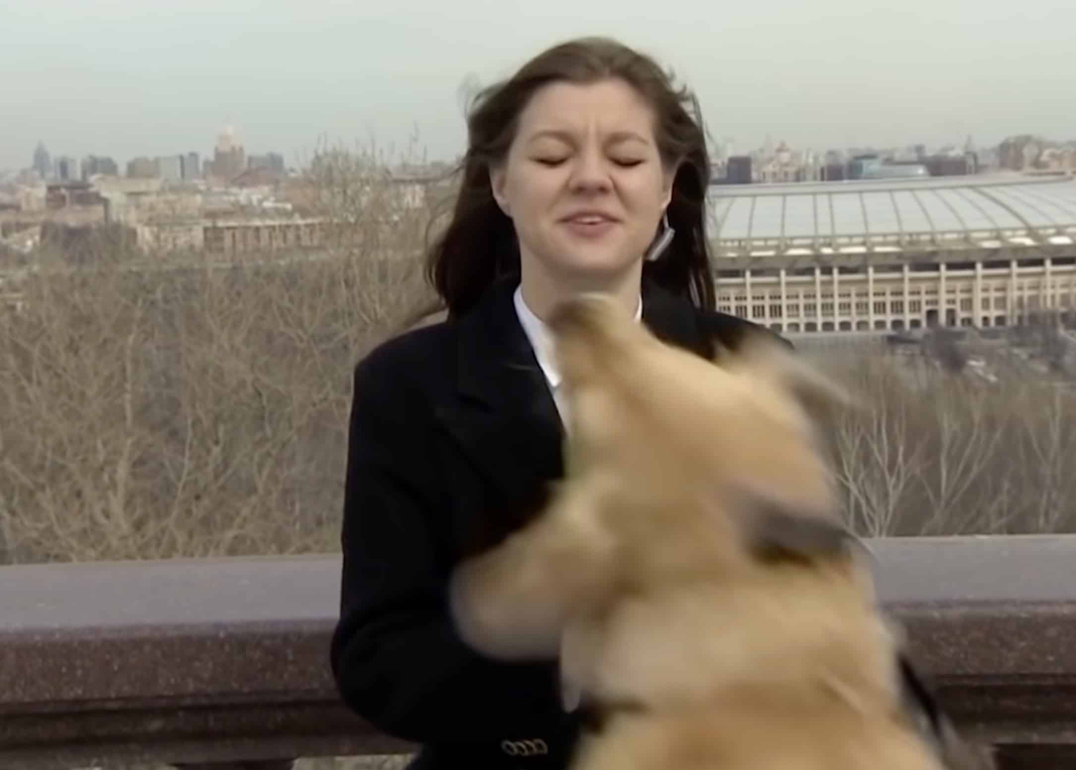 Dog Bites Microphone